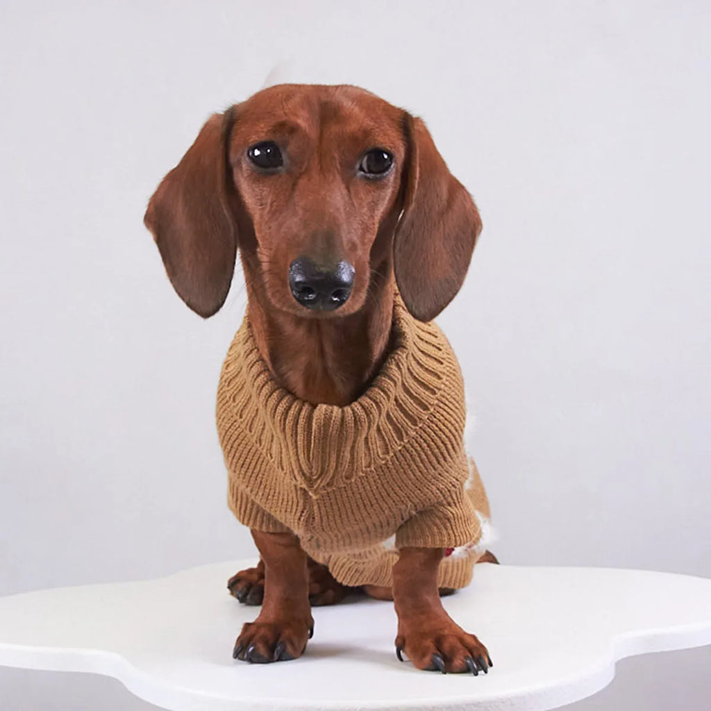 Four coloured pet Christmas sweaters with mink lining in purple, red, green, and khaki sizes 6/XS to 16/XXL