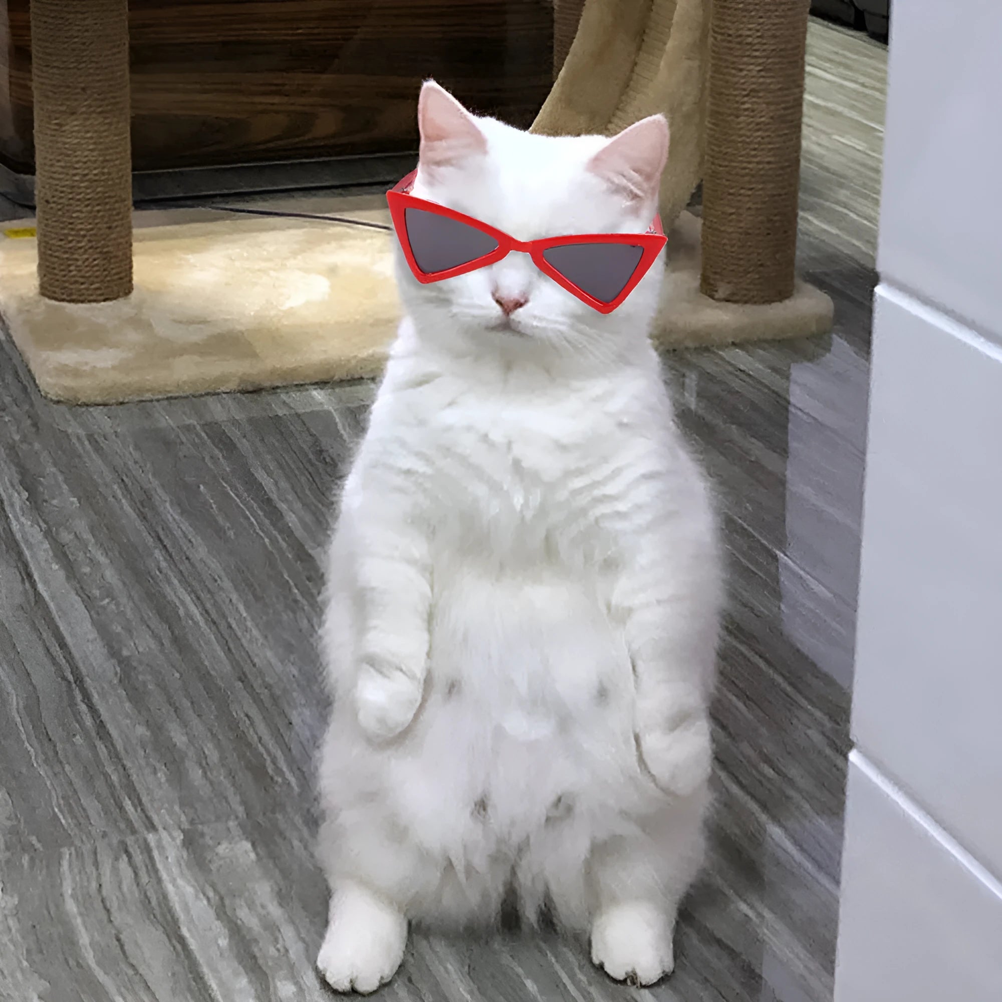 Funny plastic glasses in yellow for dogs and cats, measuring 8.5cm length