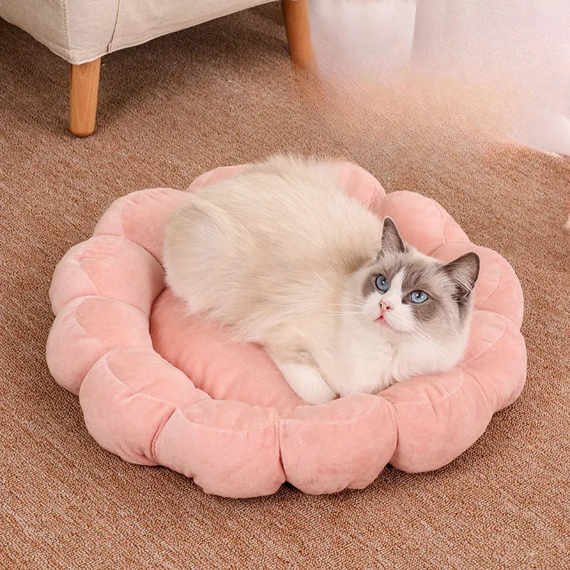 Square blue half-surrounded plush pet bed for small dogs and cats on a wooden floor.