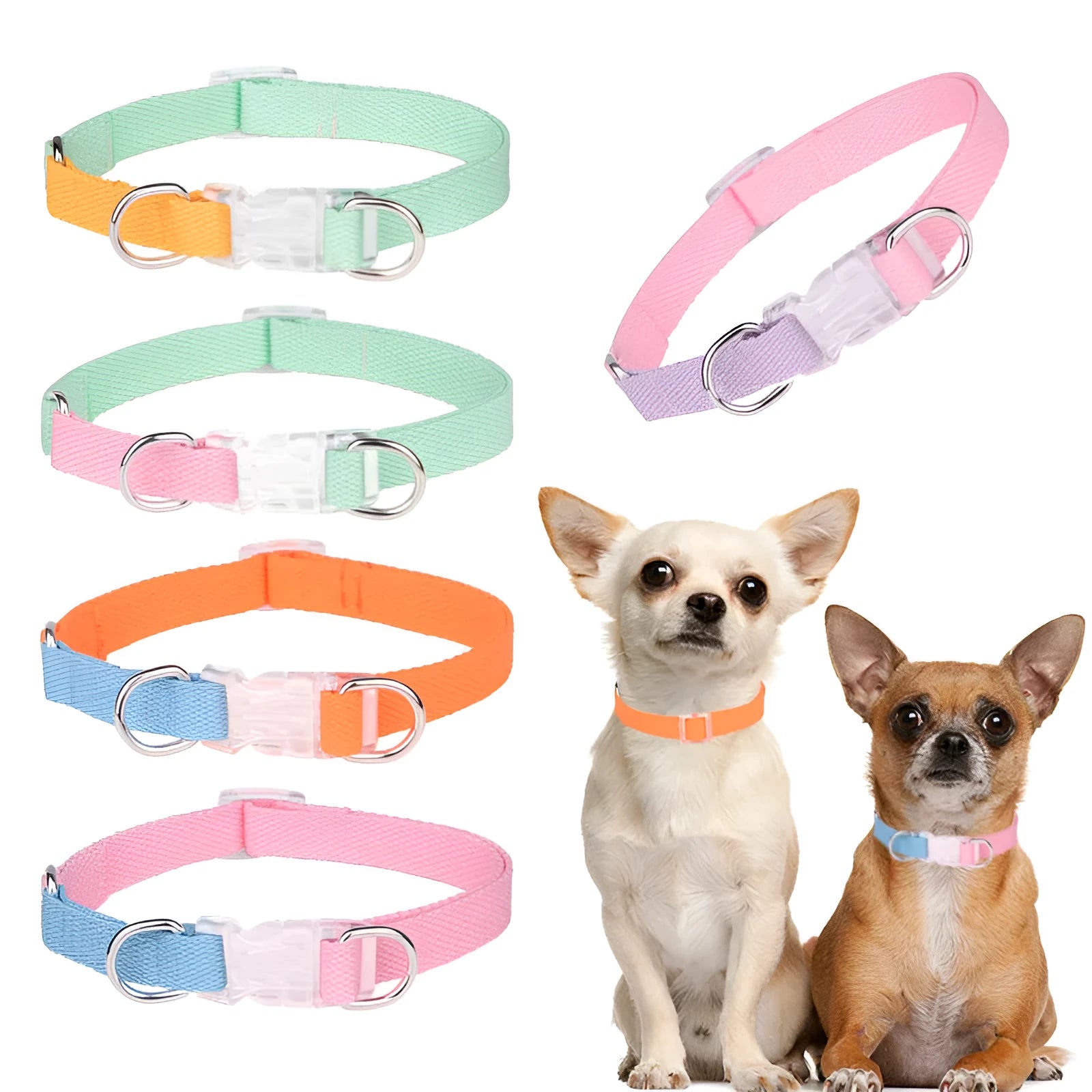 Polyester ribbon dog collar and leash set with adjustable collar and chest strap in five colour options