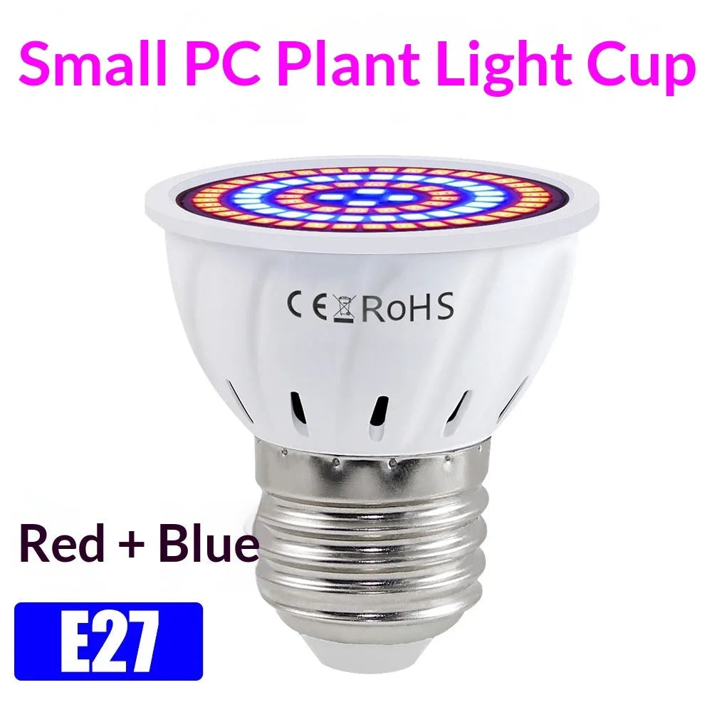 Red-blue spectrum plant growth fill light with 200 LED beads in PC shell