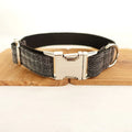 Black polyester padded dog collar with light gold trim and matching lead on a light surface