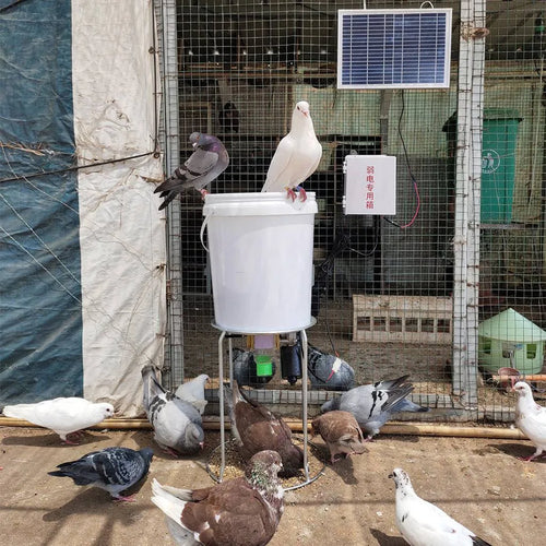 Solar-powered automatic chicken feeding device with timer and watertight outdoor construction