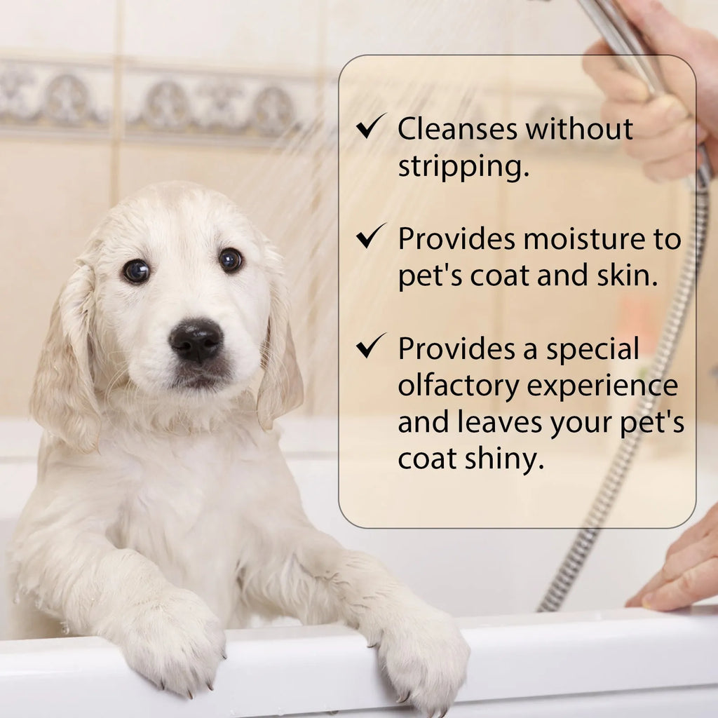 Mild pet shampoo bottle for cats and dogs with hair softening formula