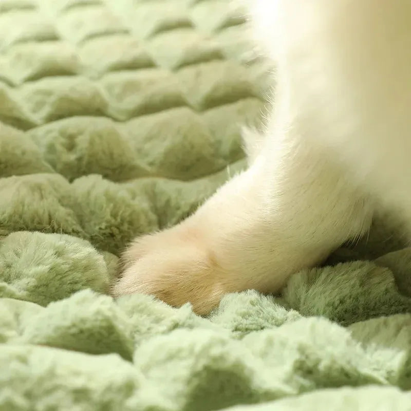 Washable thermal dog mat for large dogs with detachable cover in four sizes