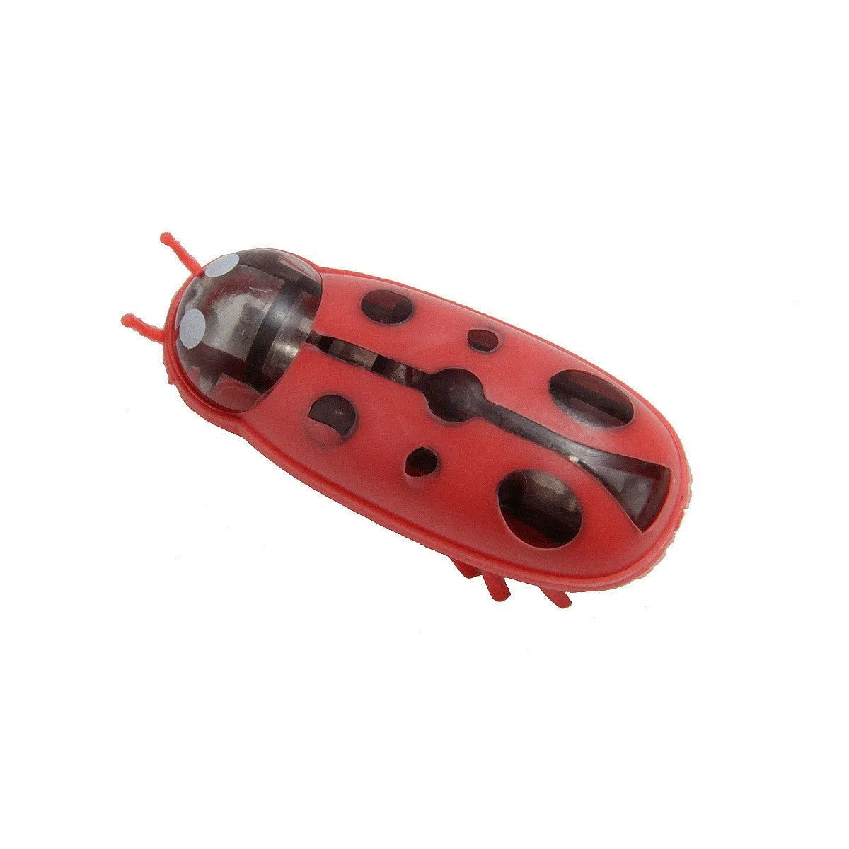 Electric jumping insect cat teaser toy in ladybug style red and black colour variation