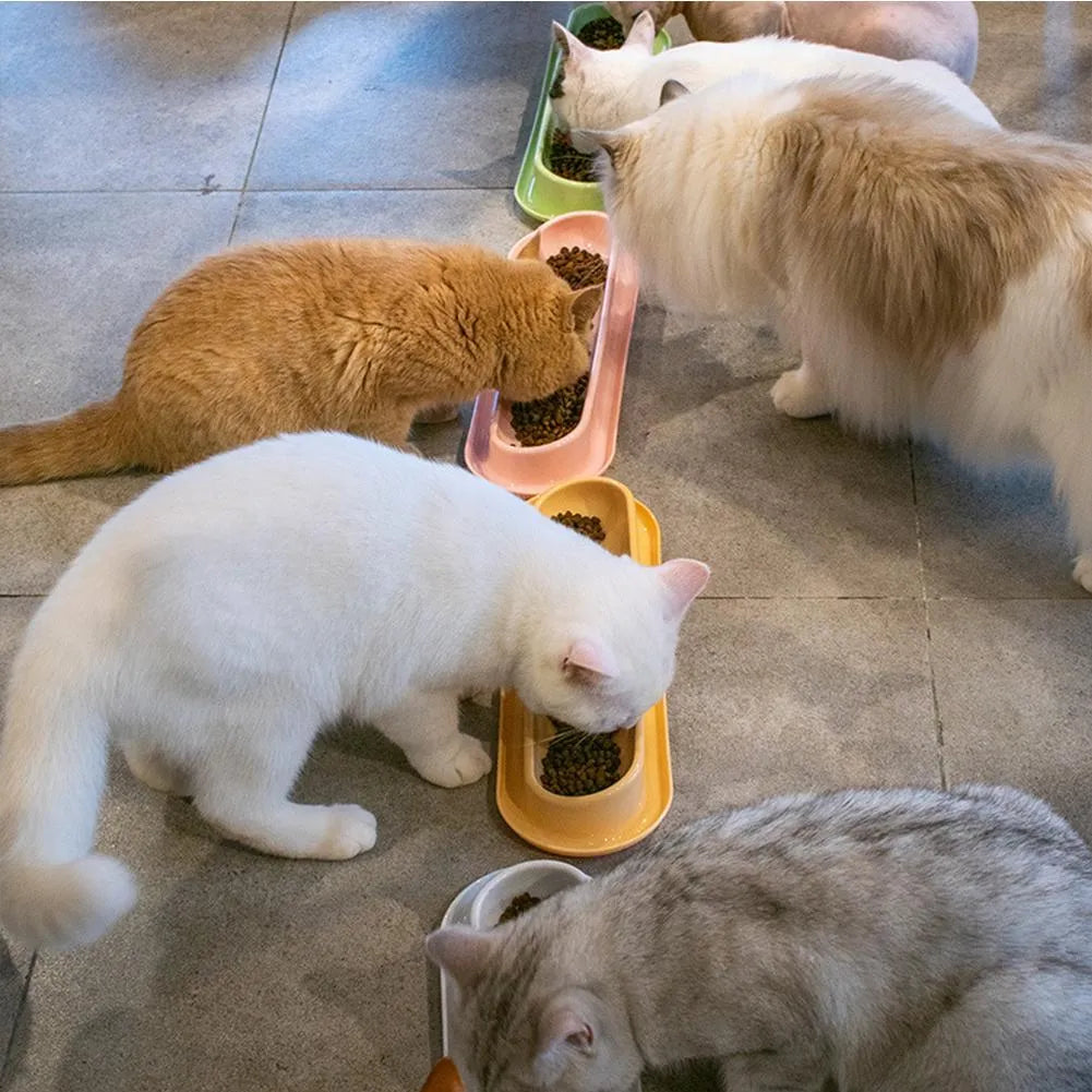Green dual-compartment pet bowl with removable stainless steel insert and non-slip silicone base
