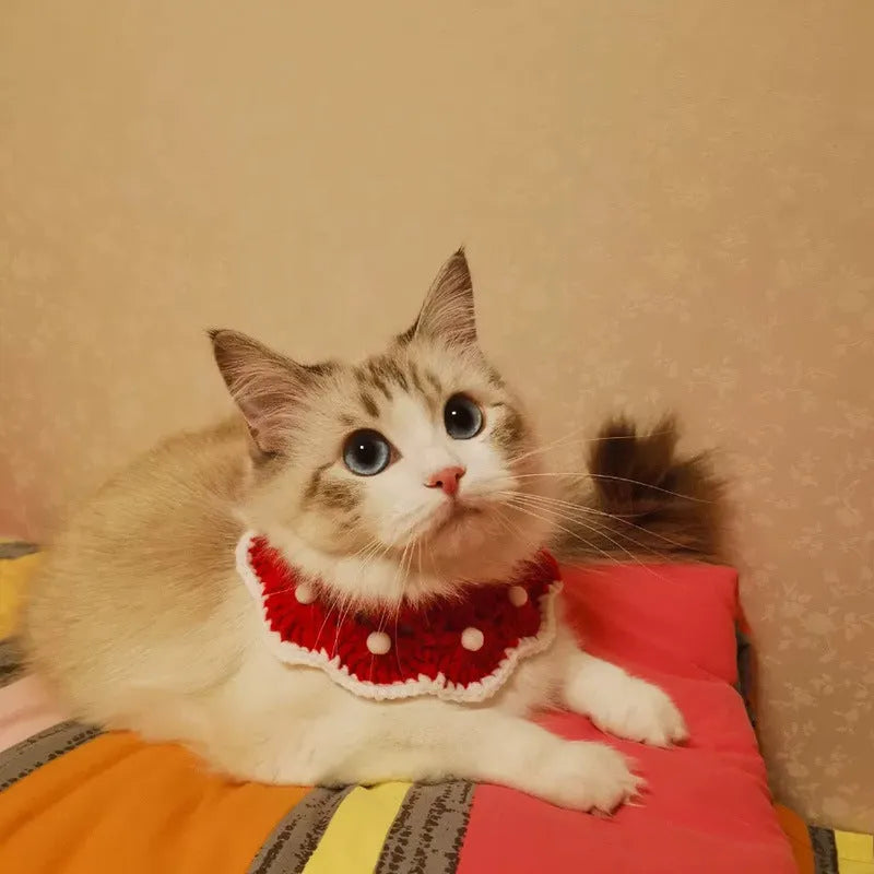 Wool knitted pet collar in milk cotton with cartoon pattern, shown in various sizes for cats, dogs, and rabbits