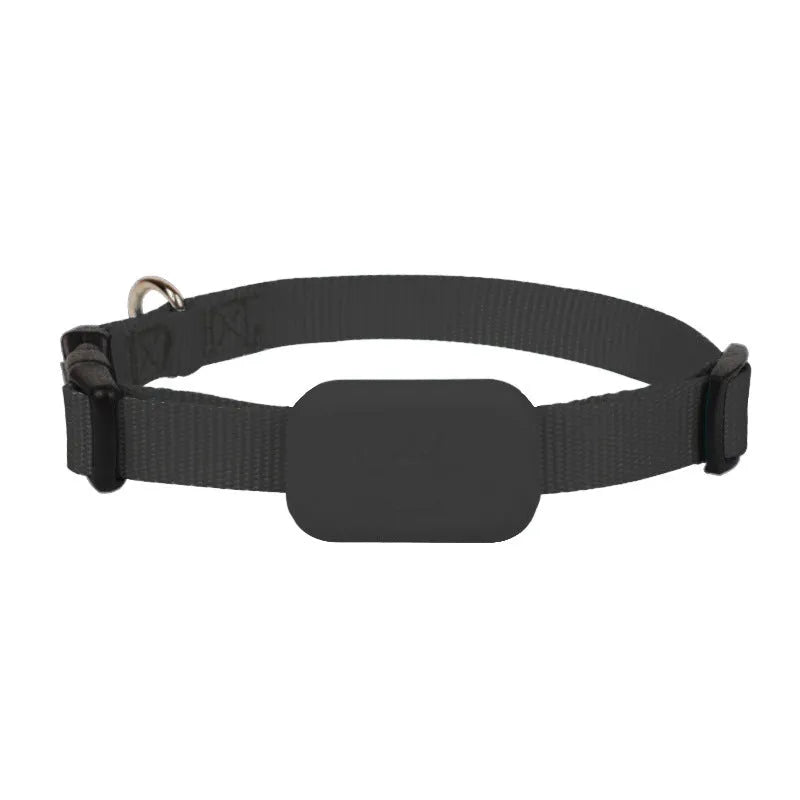 Pet positioning collar with adjustable band showing black, blue and pink colour options
