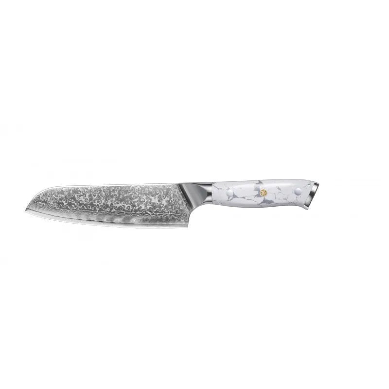 Damascus VG10 steel combined chef's knife with 21cm blade for kitchen use