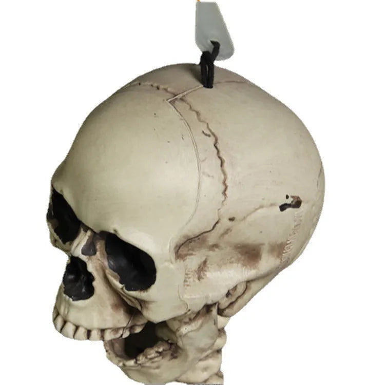 170cm plastic skeleton prop with realistic skull, full body, off-white bone finish, standing upright