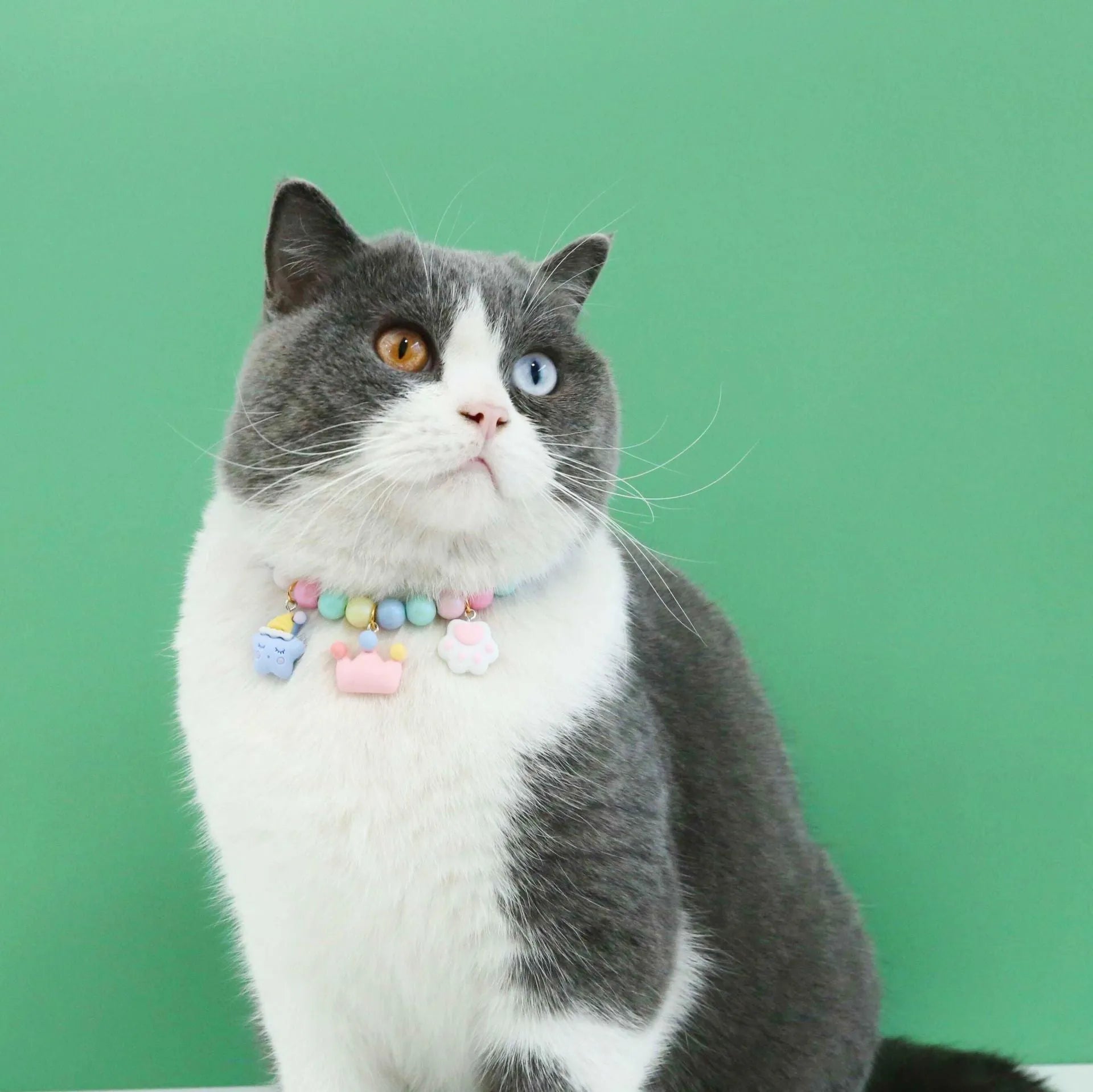Macaron-colour resin pet collar and headdress set with matching bracelet and necklace accessories