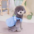 Pink and blue stripe vertical stripe princess style dog dress on female dog