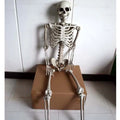 170cm plastic skeleton prop with realistic skull, full body, off-white bone finish, standing upright