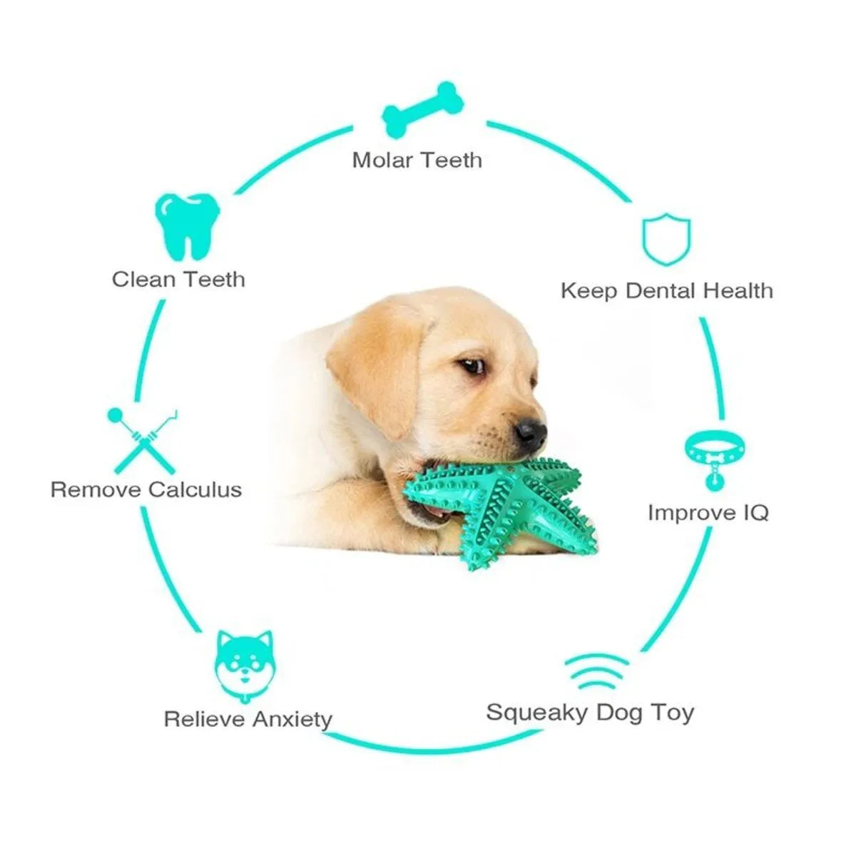 Blue starfish-shaped TPR dog chew toy with textured surfaces for dental cleaning