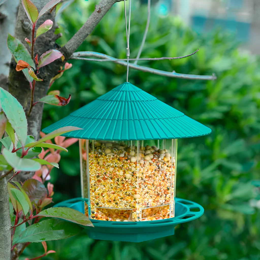 Green PP hanging transparent bird feeder with automatic feeding for outdoor garden use