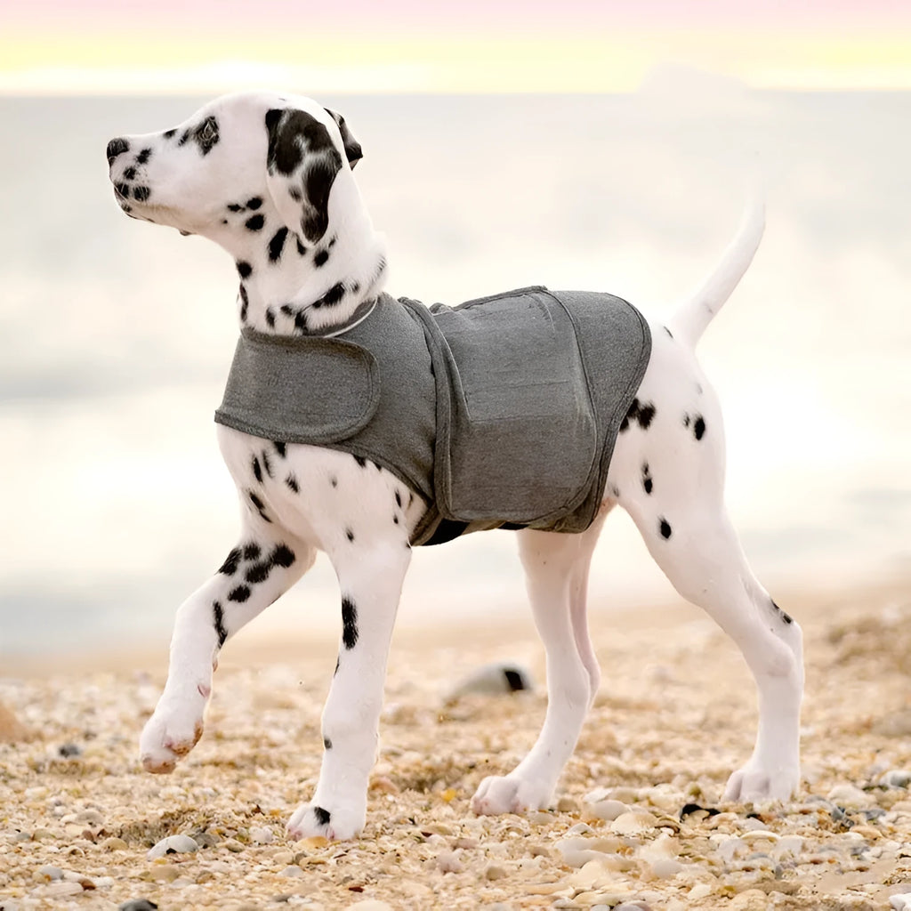 Heather Grey dog anxiety pressure vest and warm jacket in brocade cotton ponte de roma fabric.