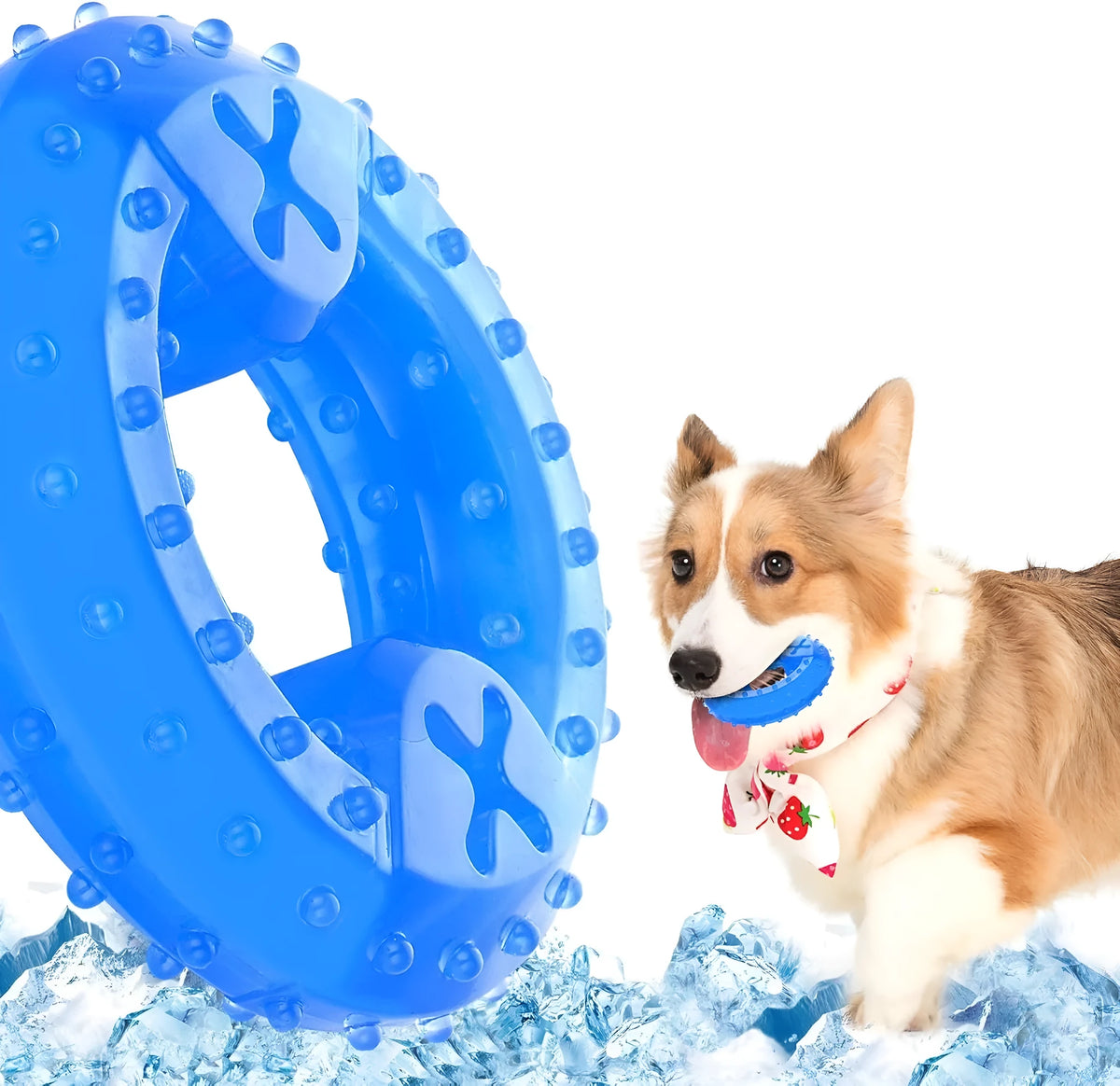Pet teether cooling chew toy for dogs in Bones shape with blue non-toxic outer layer and water filling