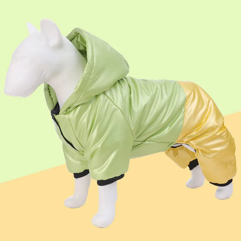 Green waterproof cotton dog coat on canine showing four-legged design and casual styling