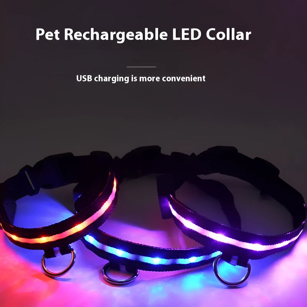 Black LED luminous dog collar with cartoon style on a dog's neck, alongside a separate hand rope.