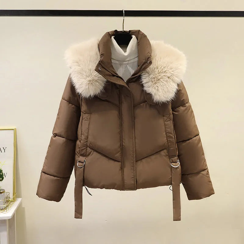 Women's short cotton-padded jacket with stand-up collar in loose style showing colour options