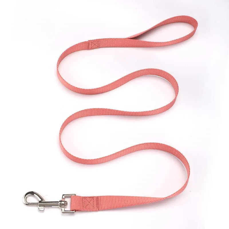 Solid colour polyester dog lead showing loop handle and single rope in one of twelve available colours.