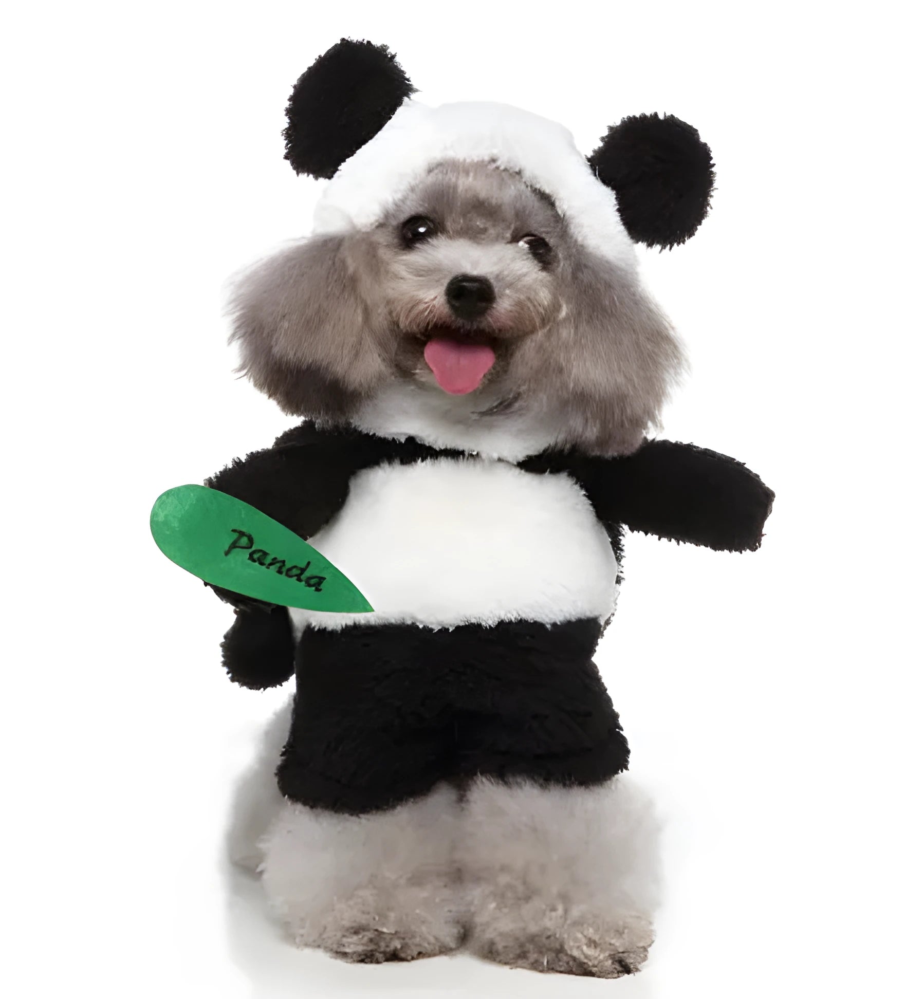 Three-piece dog costume in polyester fabric, standing outfit with hat, clothes and cloak, size S to XL
