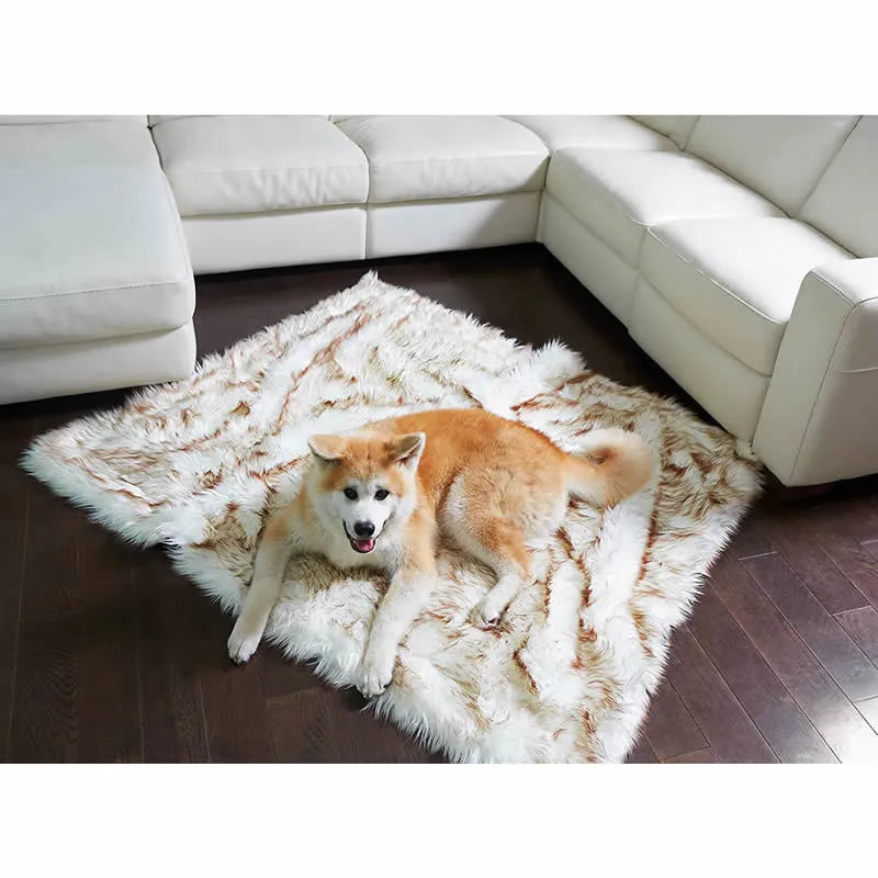 White with brown accents machine washable waterproof dog couch bed on a floor