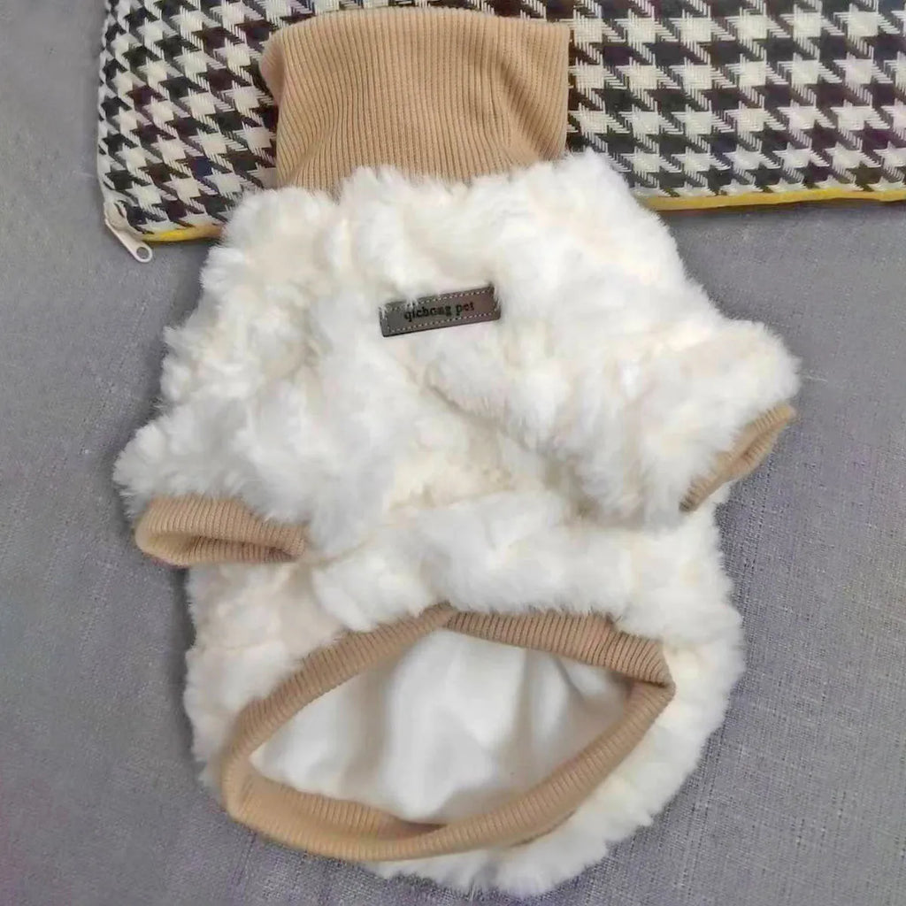 Small dog wearing thick turtleneck winter coat with plush padding in creamy green colour