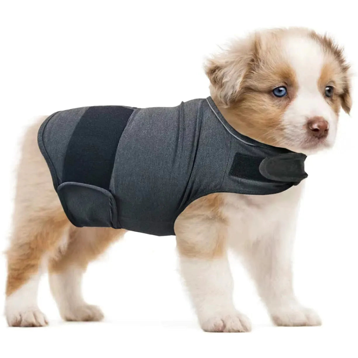 Dog wearing calming tank top vest in brocade cotton Ponte-de-Roma fabric for separation anxiety relief