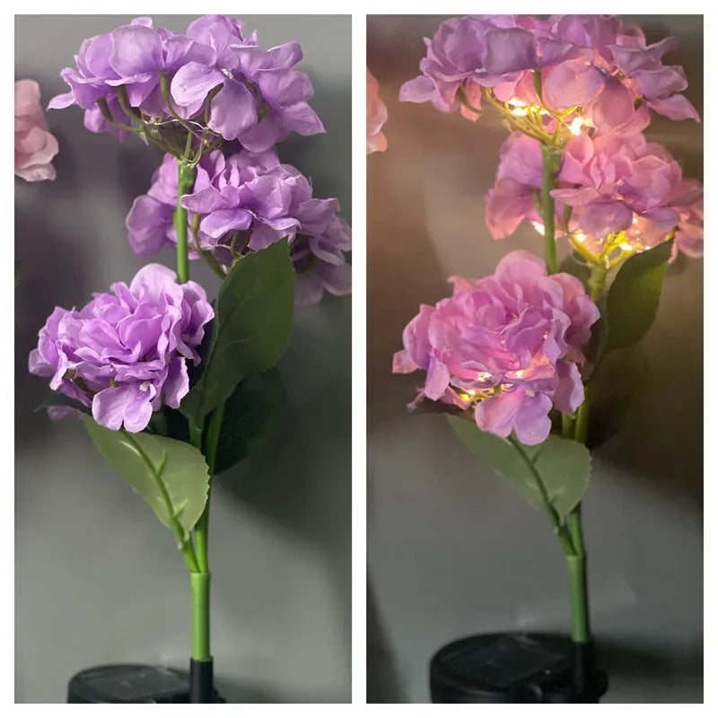 Solar hydrangea garden lights with plant modelling in outdoor setting showing colour variations