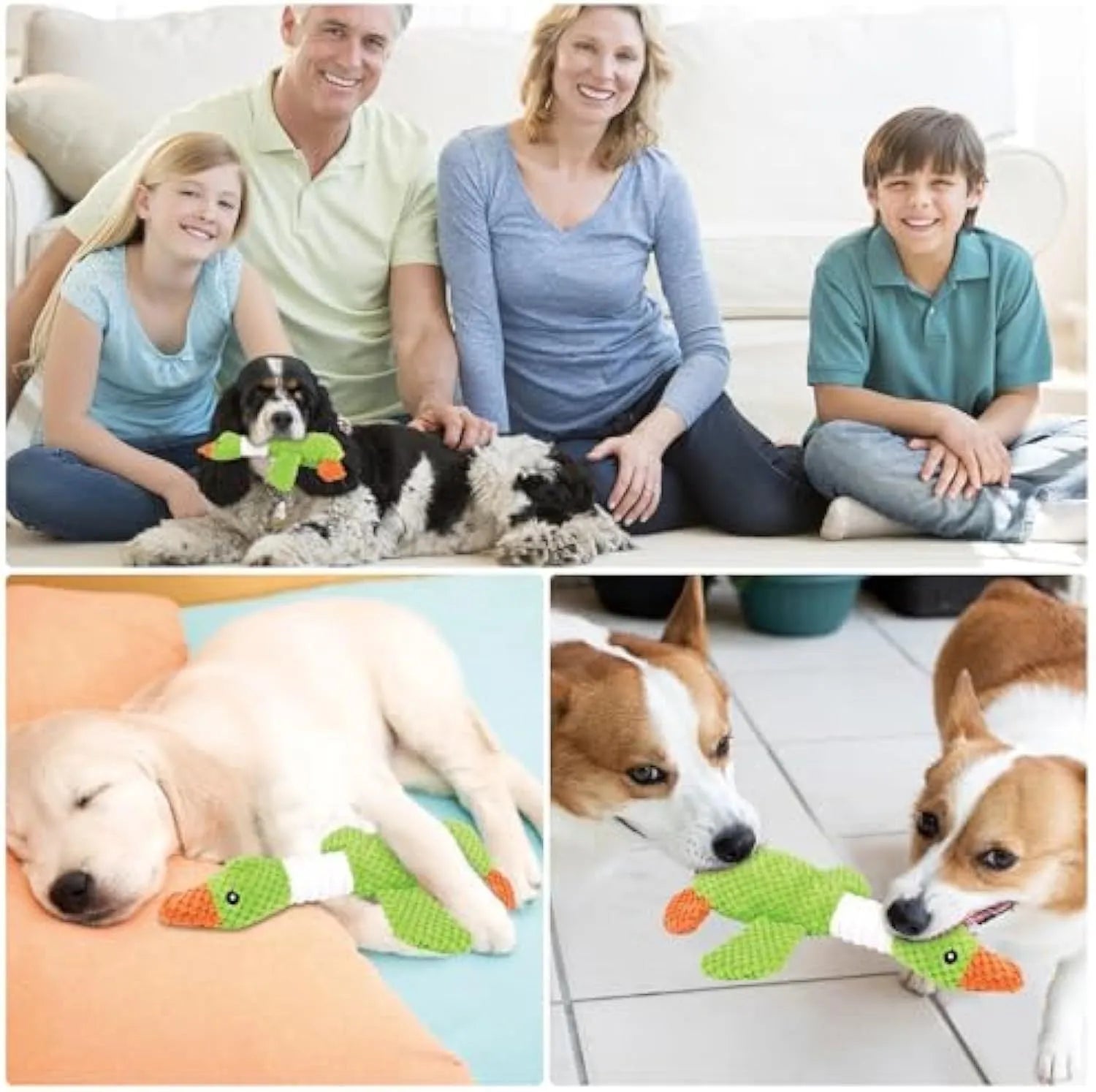 Blue duck-shaped dog plush toy with squeakers for large breed puppies