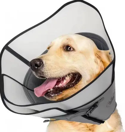 Adjustable polyester pet sterilization collar in sizes L, M, XL shown on a dog.