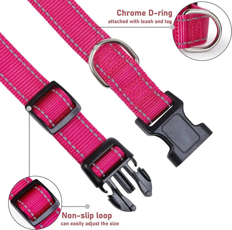 Adjustable chest strap dog collar in nylon material showing colour options