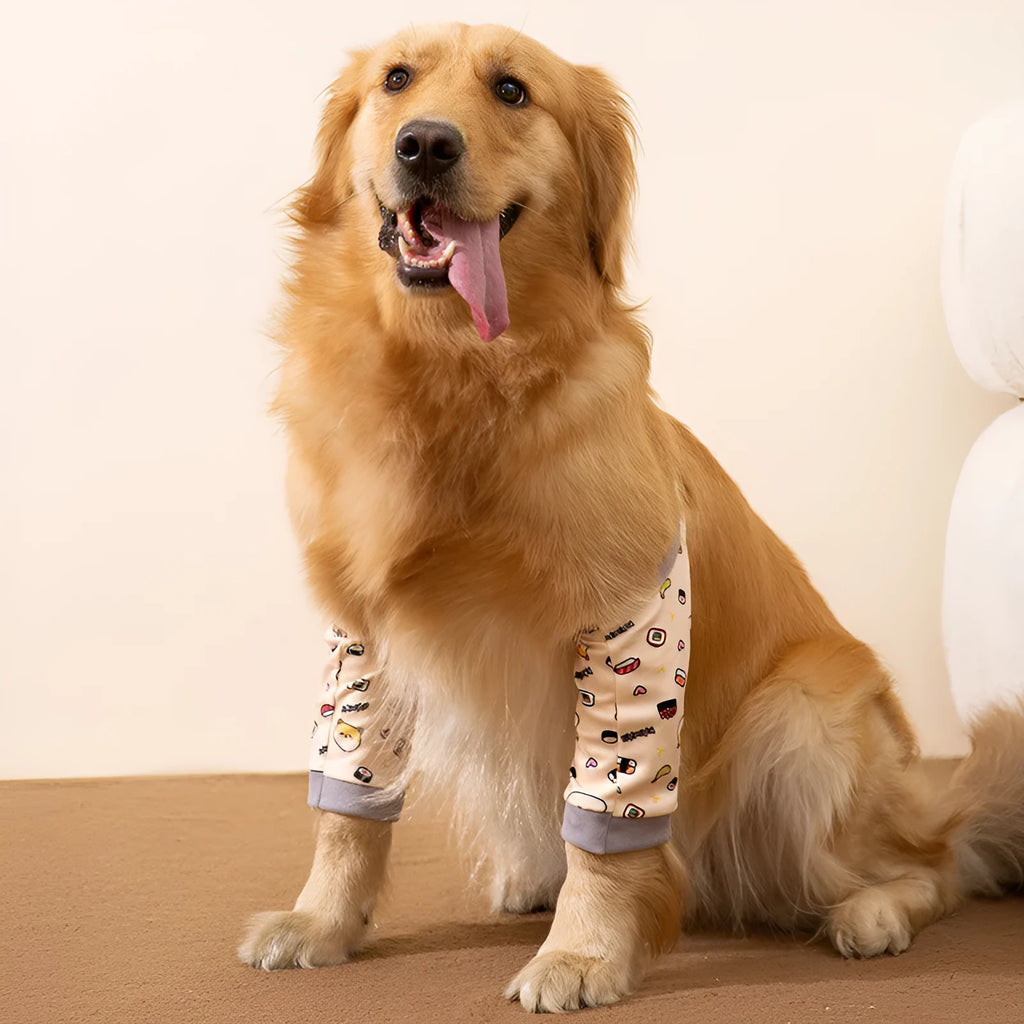 Adjustable dog elbow protection brace with scarf accessory in blue colour for medium large breed