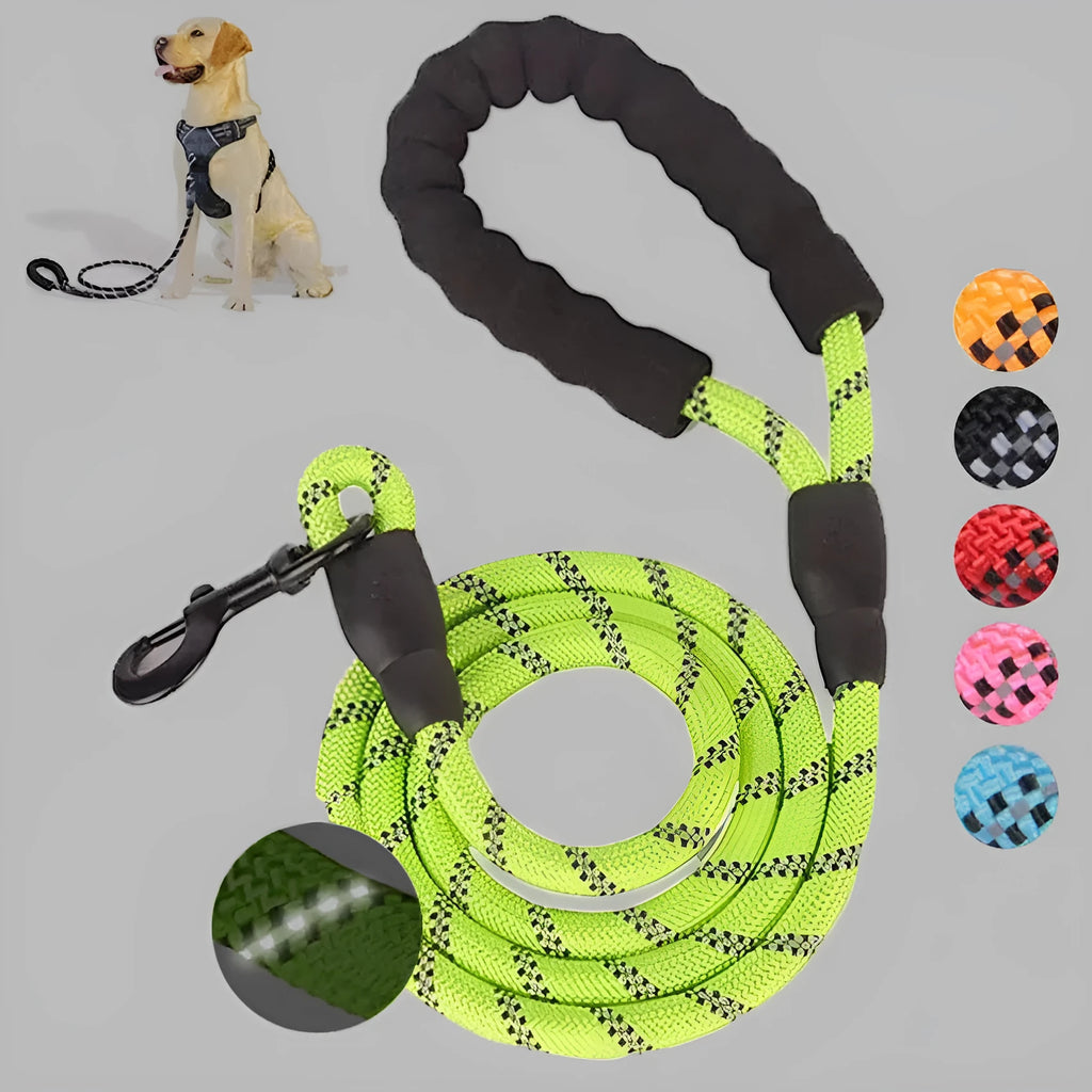 Small medium dog luminous leash chain reflective nylon 1.5m length blue colour padded handle training lead
