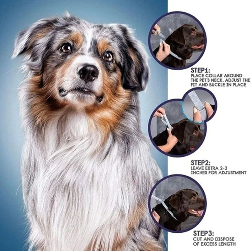 Rainbow-coloured plastic flea repellent collar for cats and dogs.