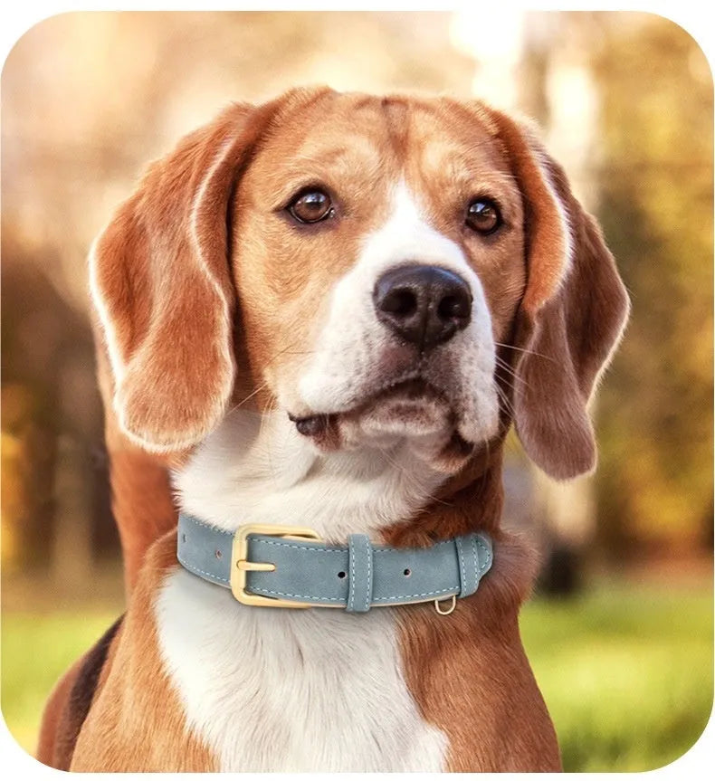 Double-layer leather dog collar with mohair lining and a matching traction rope in rose red.