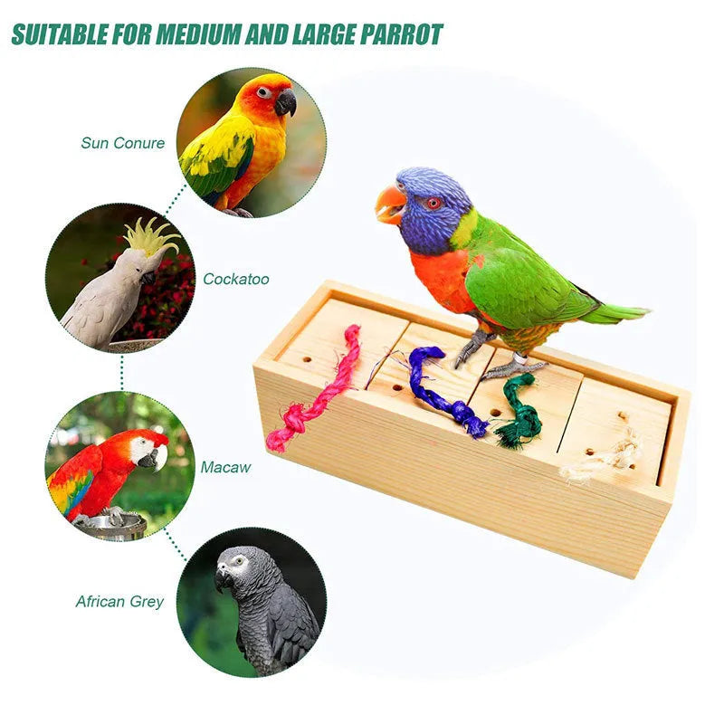 Wooden parrot puzzle training toys for birds in three set configurations