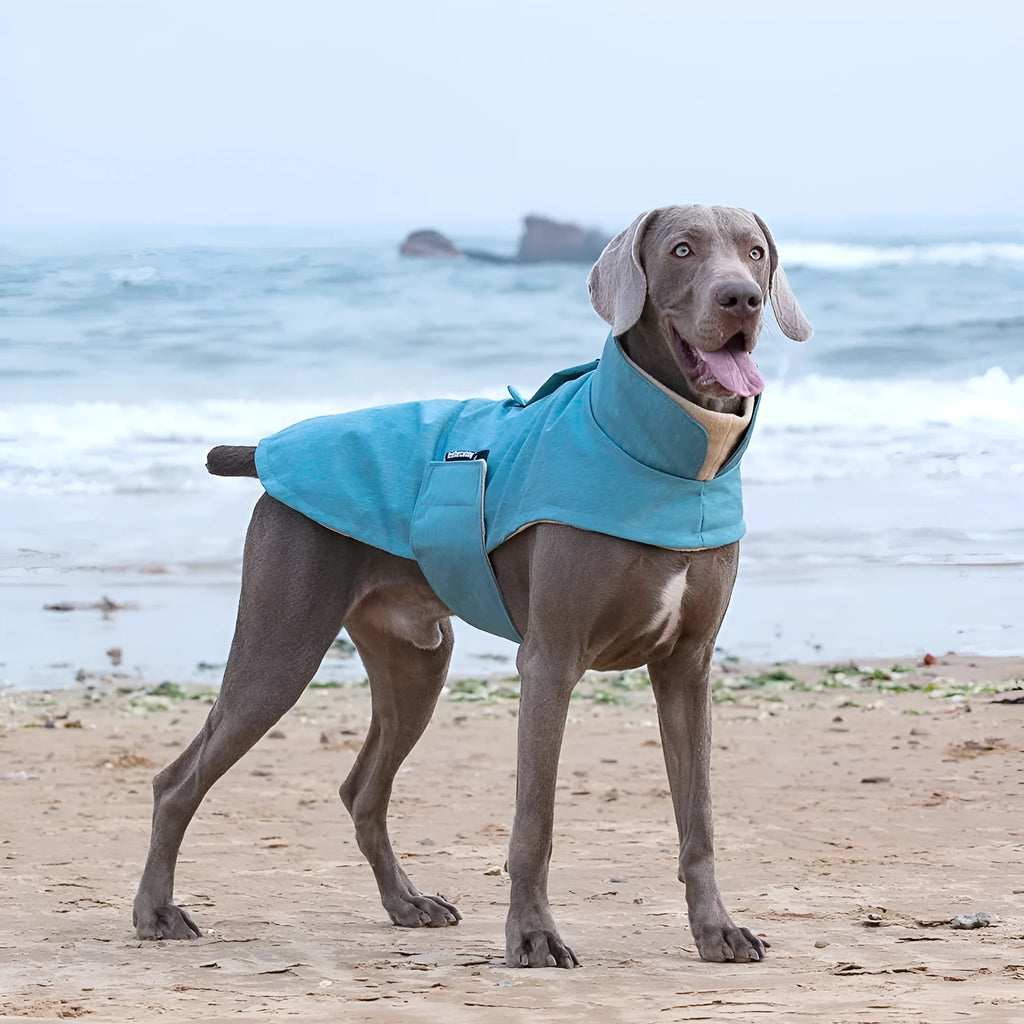 Cold-proof polyester dog vest in rose red, available in sizes S to XXL.