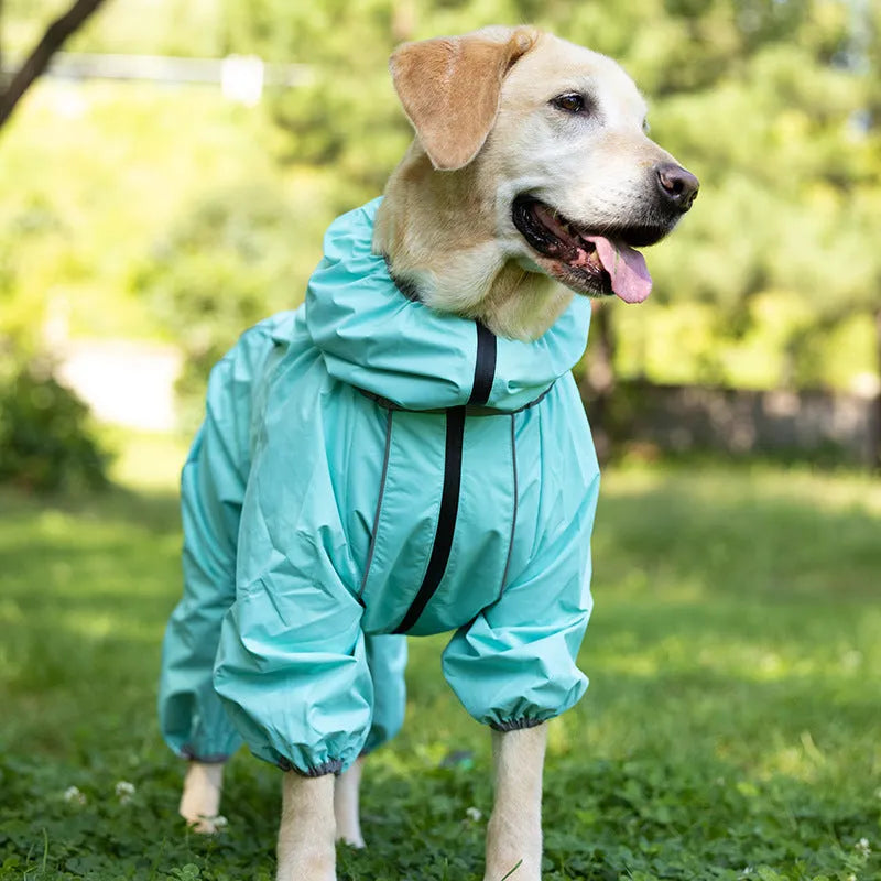Dog wearing a red thickened cotton-padded winter shell jacket outdoors.
