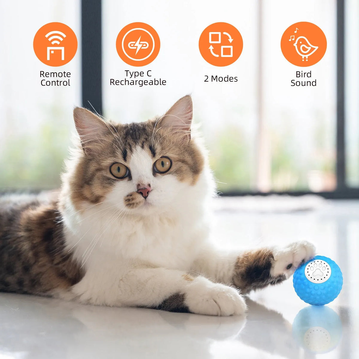 Interactive cat rolling ball toy with remote control in blue, green, and yellow colours