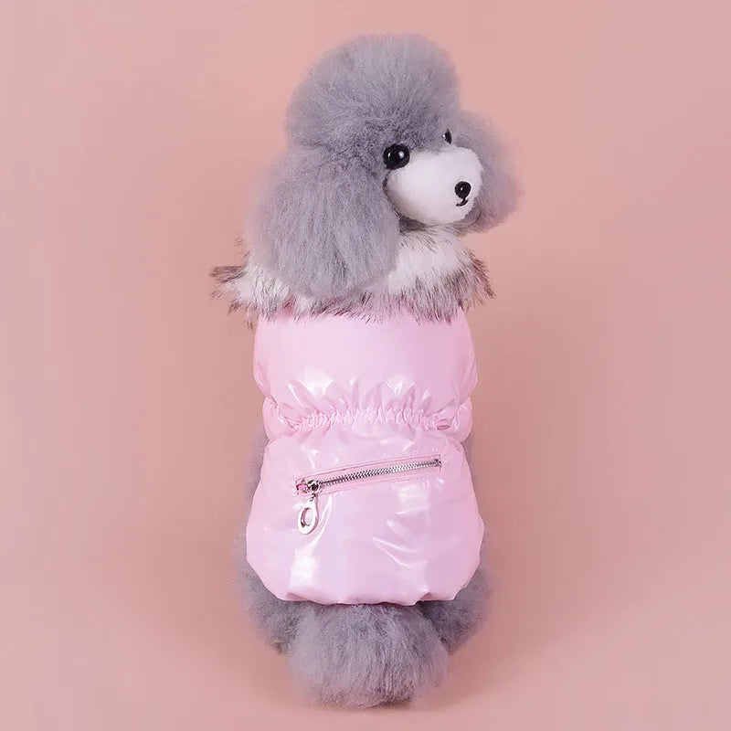 British style blue cotton dog jacket for winter warmth on a small dog, showing size and style.