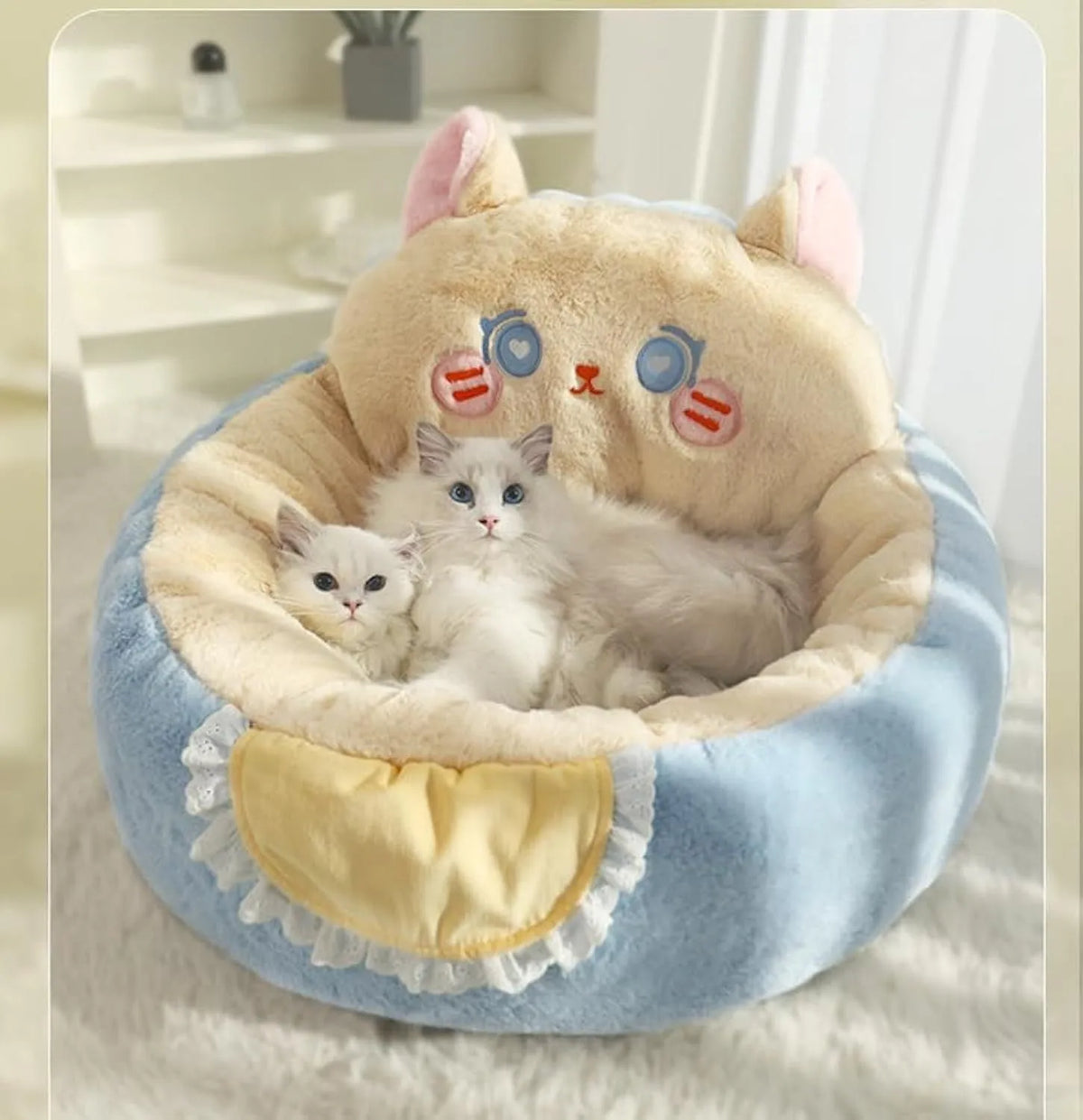 Cute bear-patterned plush cat and dog bed tent with removable cushion, available in blue or brown