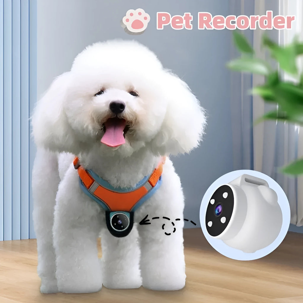 Pets Recorder pet tracker collar with GPS and 170° camera, lightweight and waterproof for dogs and cats