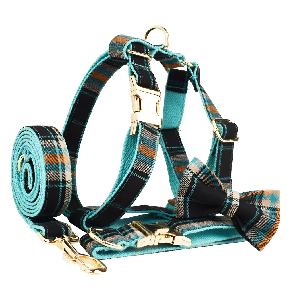 Green retro dog outfit set with collar, lead, bow tie and vest on white background
