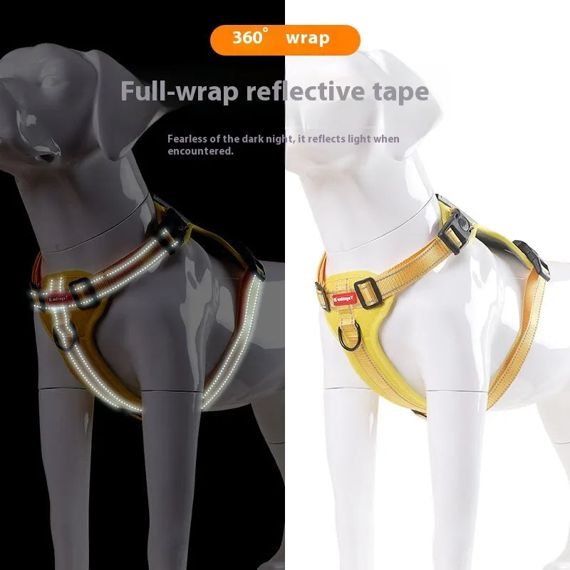 A polyester dog chest harness and lead set shown in a choice of colours including red and blue.