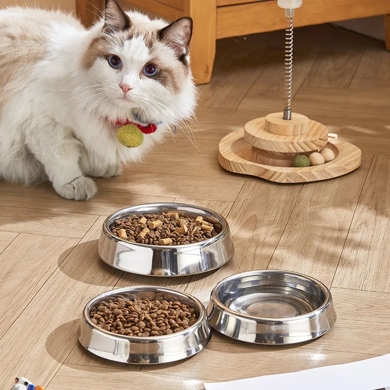 Thick stainless steel pet bowl with non-slip base, anti-fall rim, and bite-resistant construction