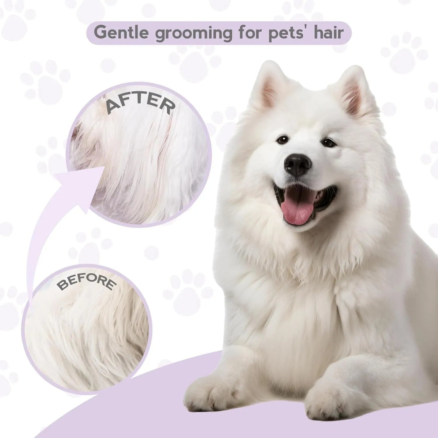 Purple pet grooming comb with stainless steel teeth for dogs and cats
