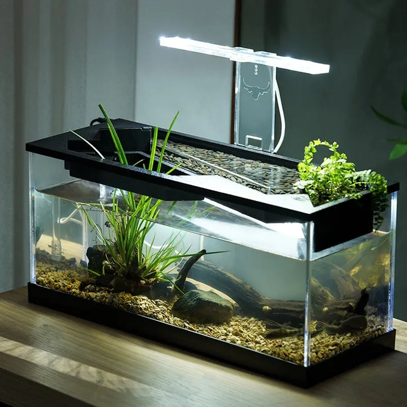 Small acrylic lazy aquarium with integrated filter, water pump, built-in lamp, heating mat, and external light on a desk